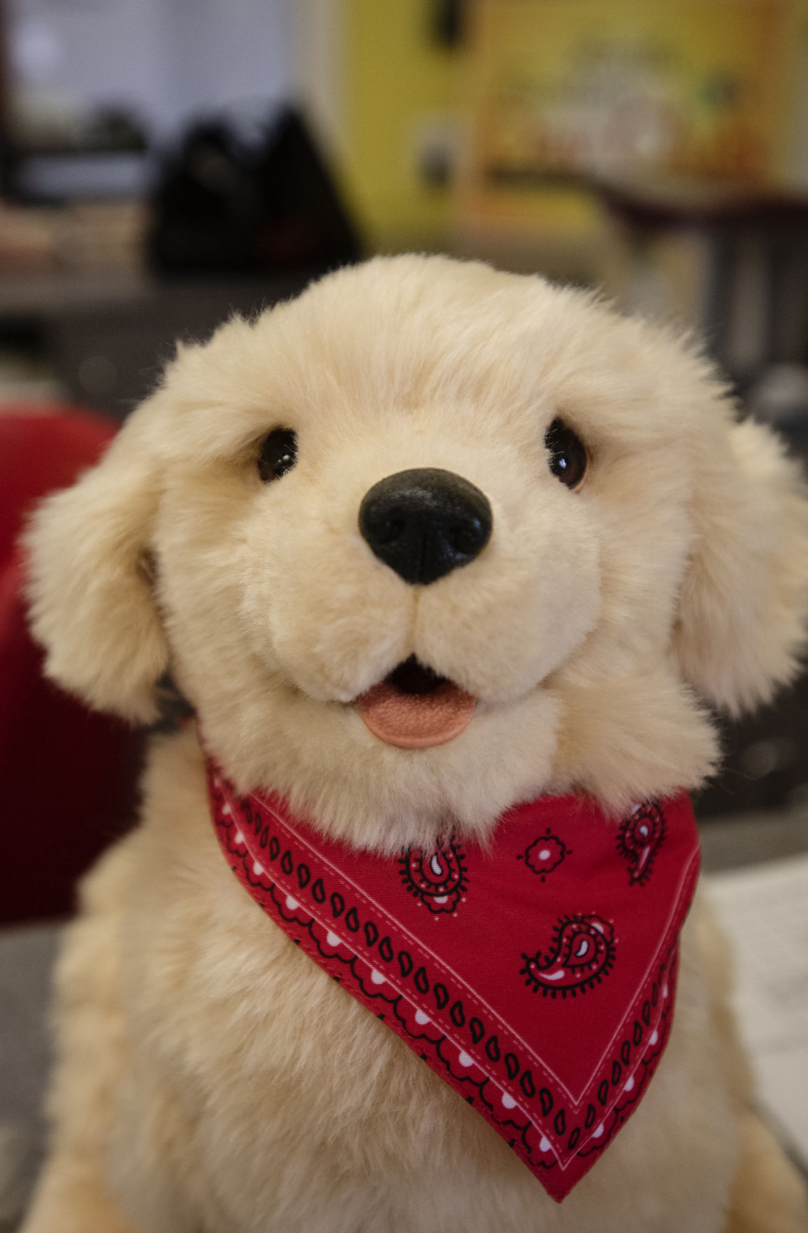 20190425_Wags_of_Hope_04web.jpg